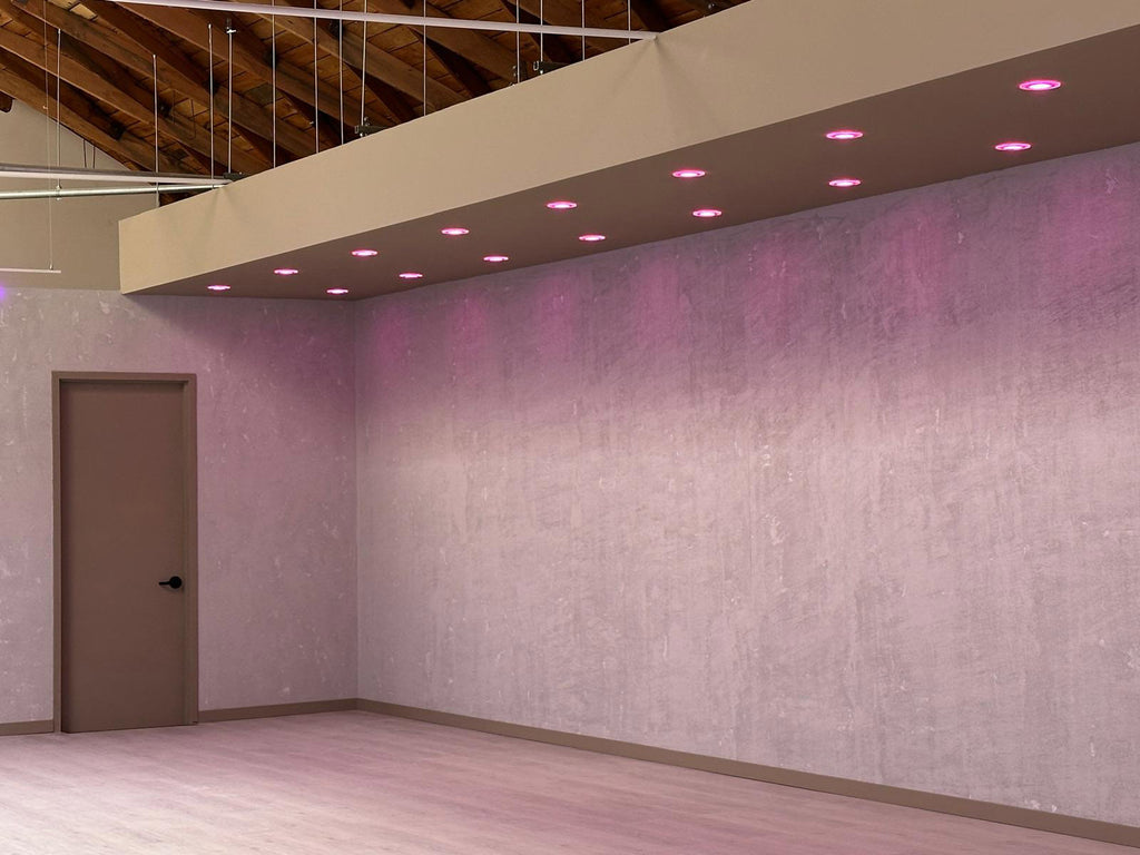 Untitled Dance Studio